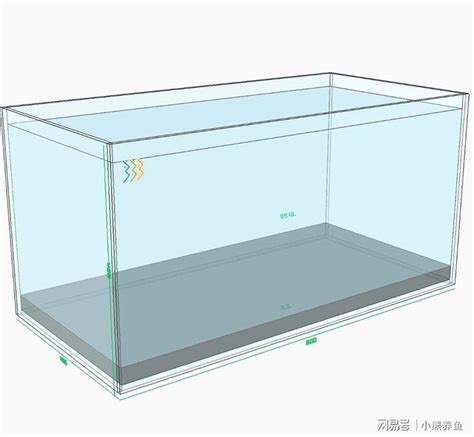 魚缸密度計算|如何養魚：魚缸尺寸、魚密度、加熱、照明、過濾綜合。